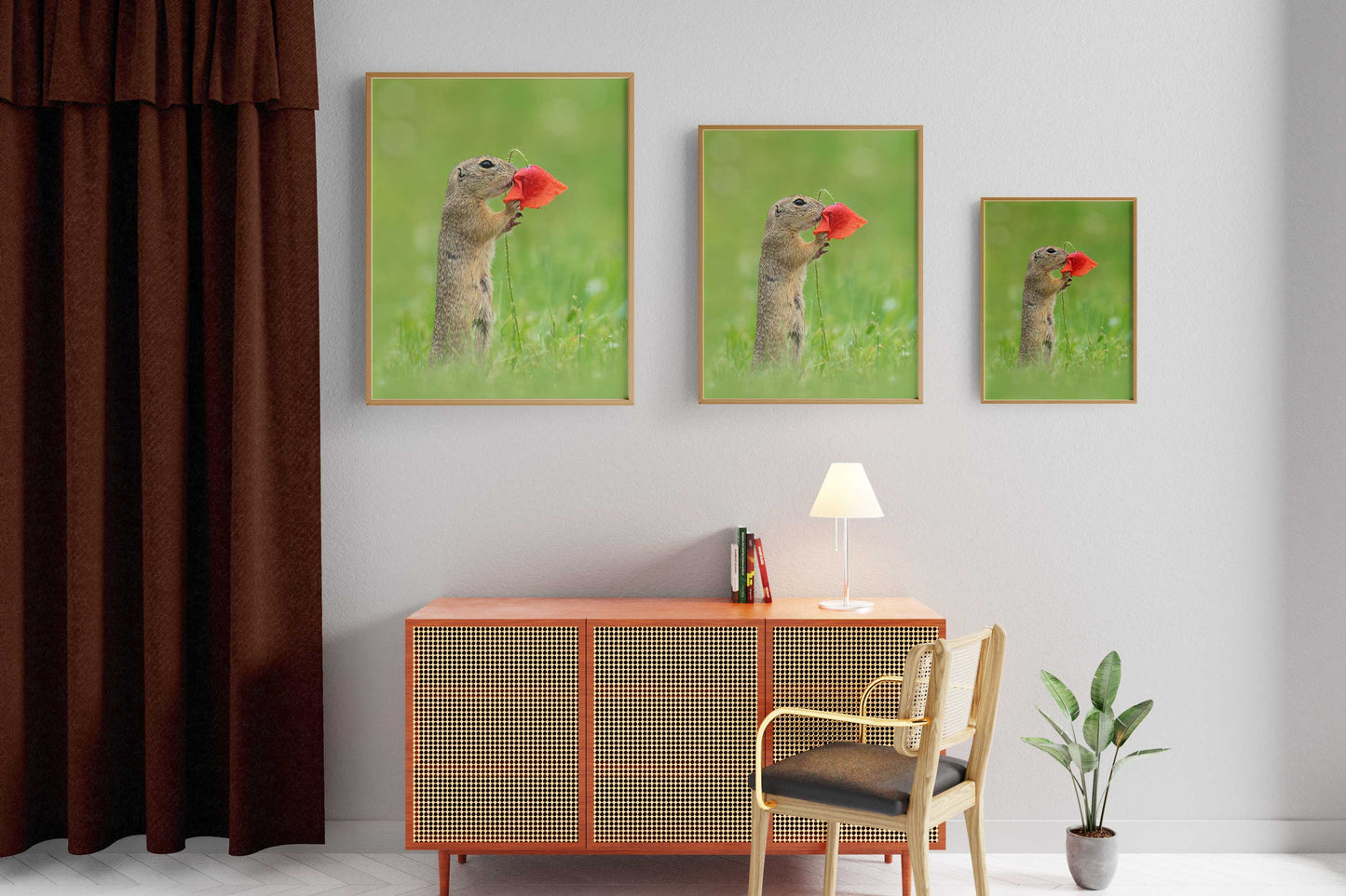 Squirrel Smells Red Flower