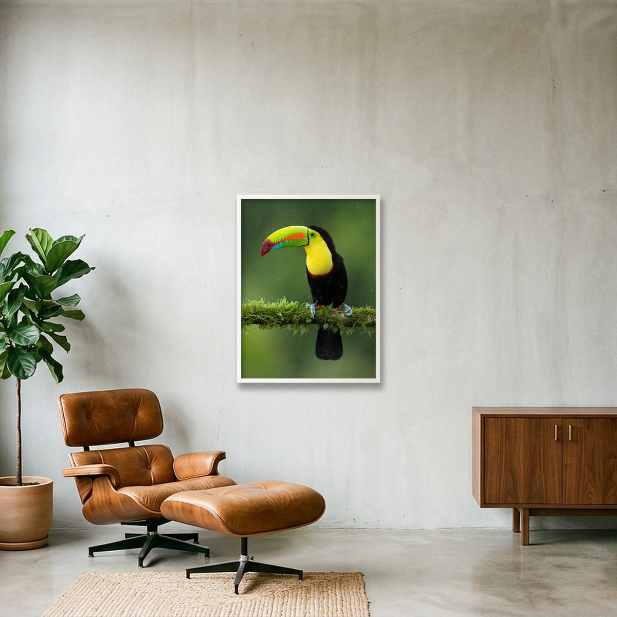 Toucan — 60×80cm, 24×31" White Frame