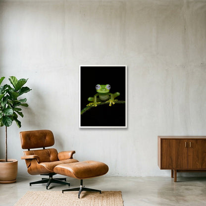 Ghost Glass Frog — 60×80cm, 24×31" White Frame