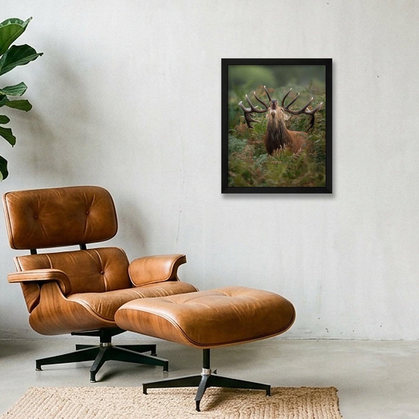 Red Deer — 28×35cm, 11×14" Black Frame