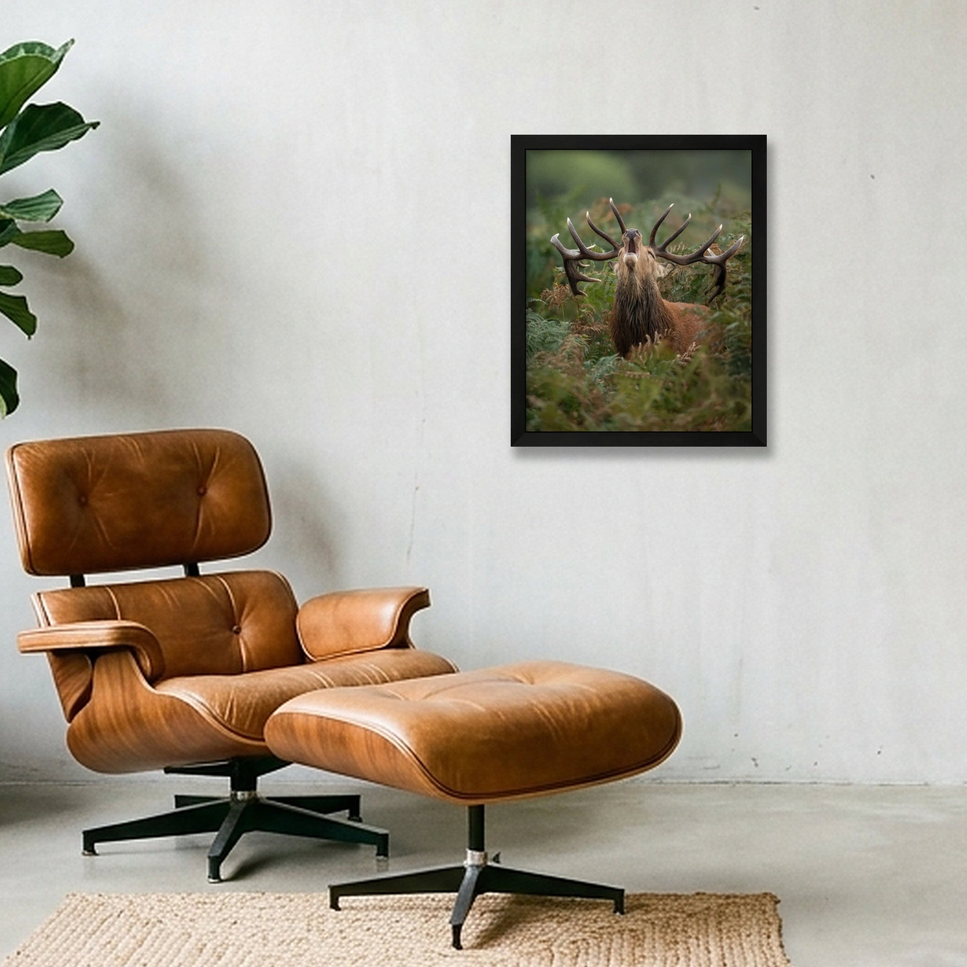 Red Deer — 28×35cm, 11×14" Black Frame