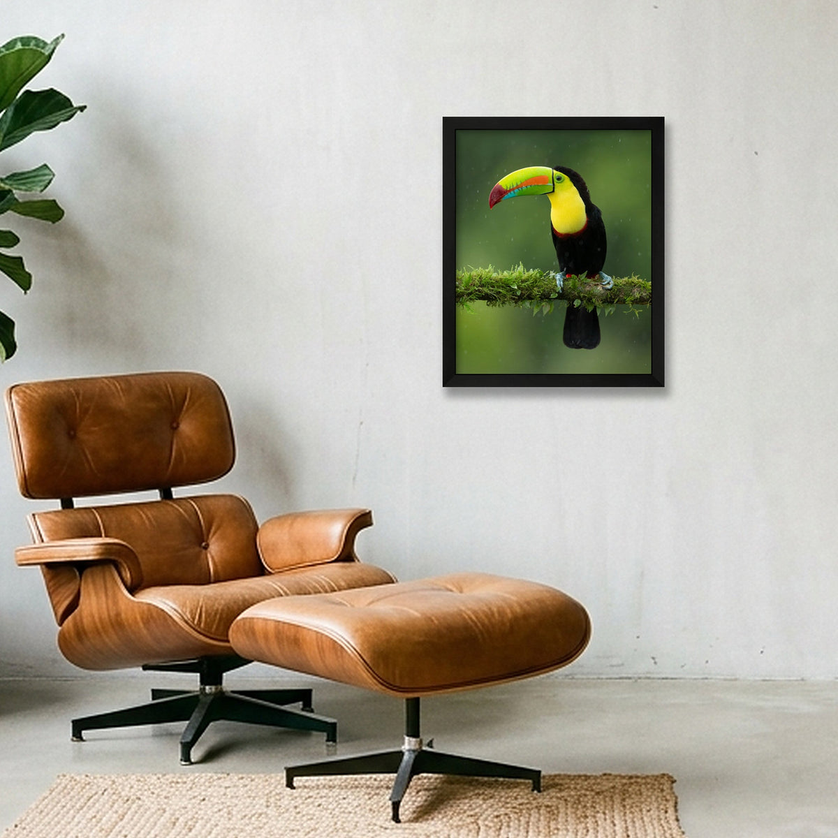 Toucan — 28×35cm, 11×14" Black Frame