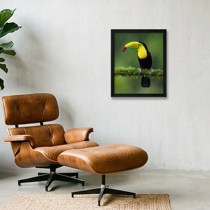 Toucan — 28×35cm, 11×14" Black Frame