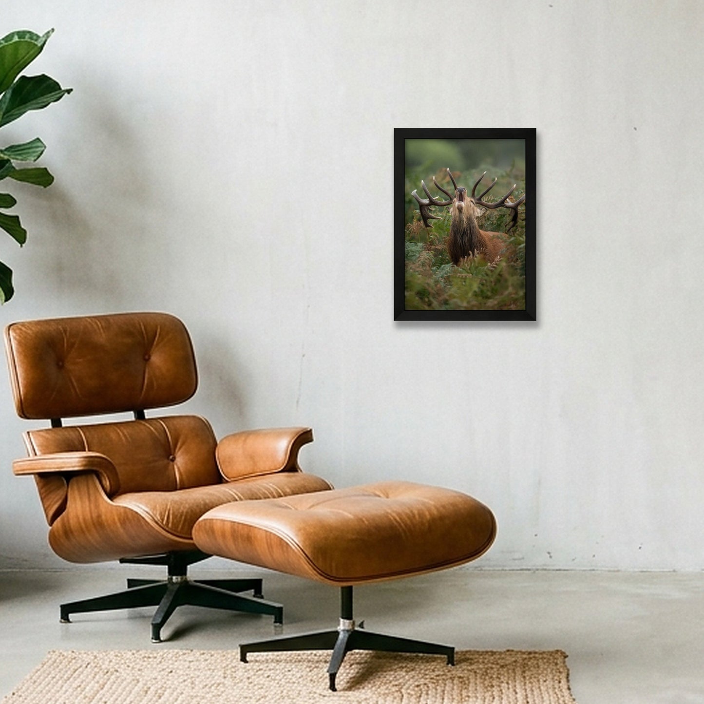 Red Deer — A4 (21×30cm, 8×12") Black Frame