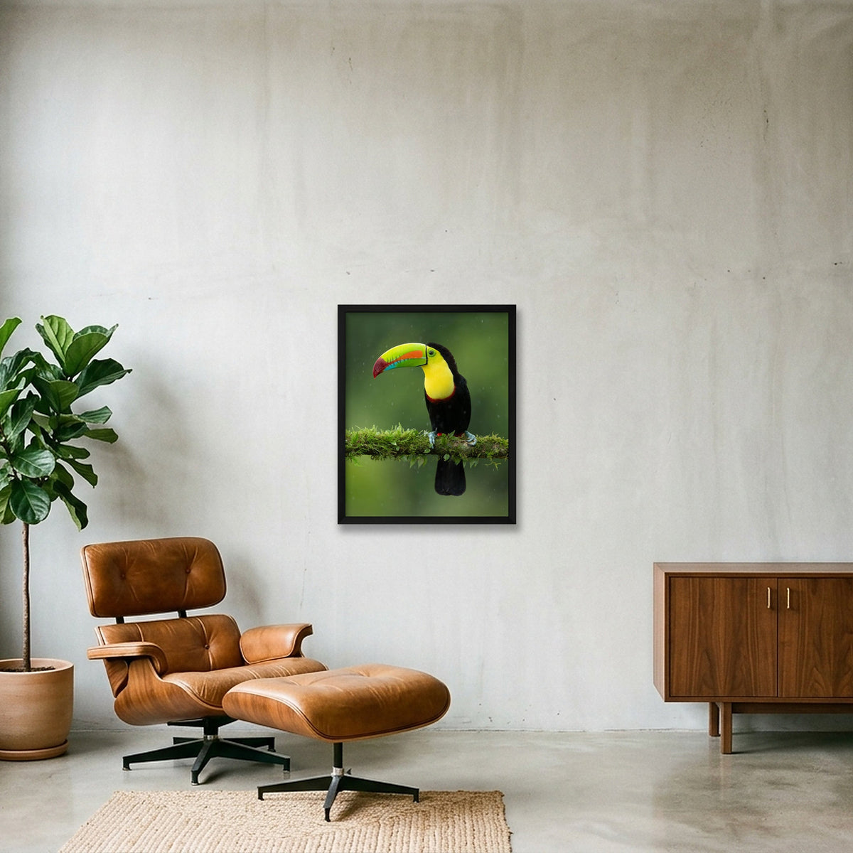 Toucan — 40×50cm, 16×20" Black Frame