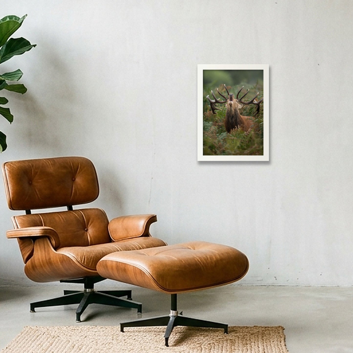 Red Deer — A4 (21×30cm, 8×12") White Frame