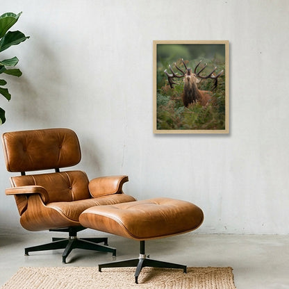 Red Deer — 28×35cm, 11×14" Oak Frame