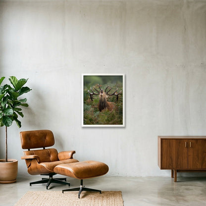 Red Deer — 40×50cm, 16×20" White Frame