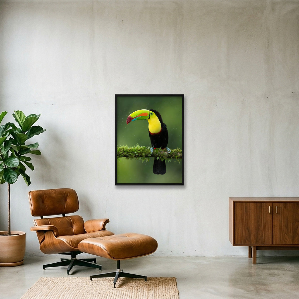 Toucan — 60×80cm, 24×31" Black Frame