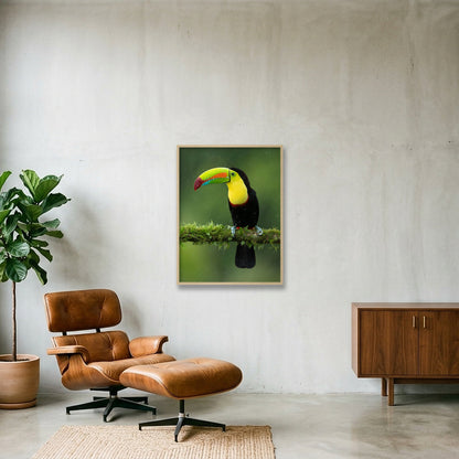Toucan — 60×80cm, 24×31" Oak Frame