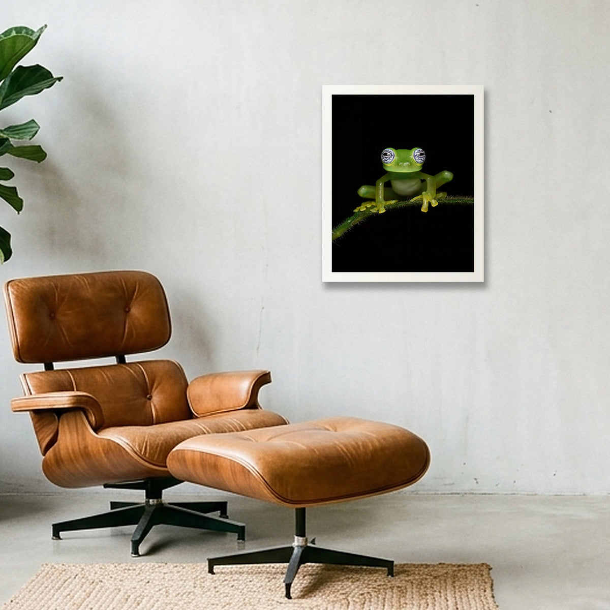 Ghost Glass Frog — 28×35cm, 11×14" White Frame