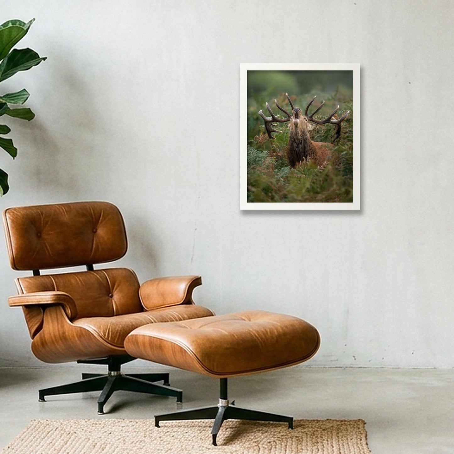 Red Deer — 28×35cm, 11×14" White Frame