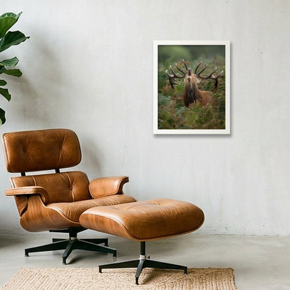 Red Deer — 28×35cm, 11×14" White Frame