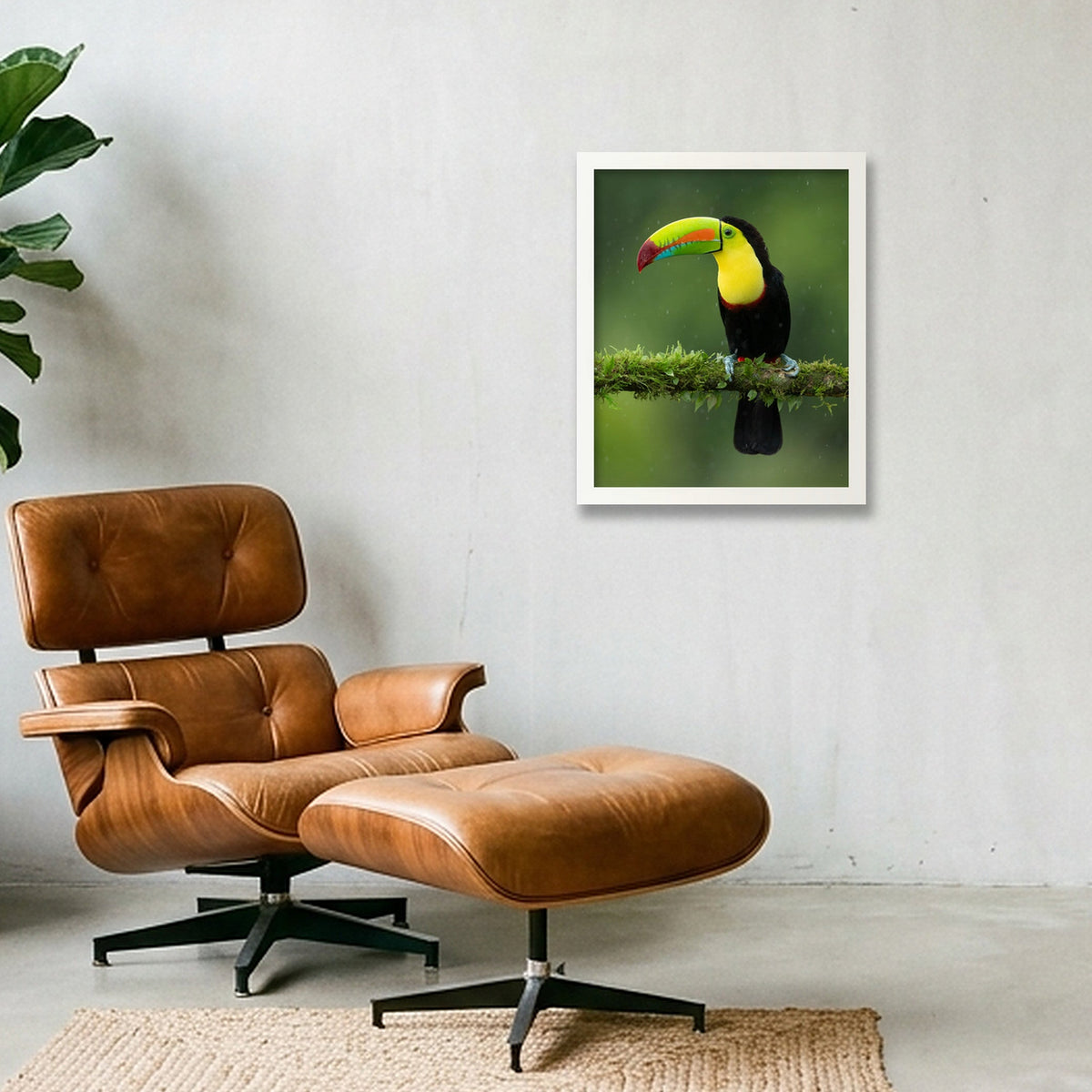 Toucan — 28×35cm, 11×14" White Frame