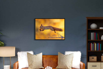 Jumping Squirrel