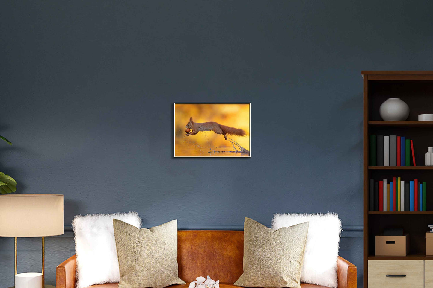 Jumping Squirrel