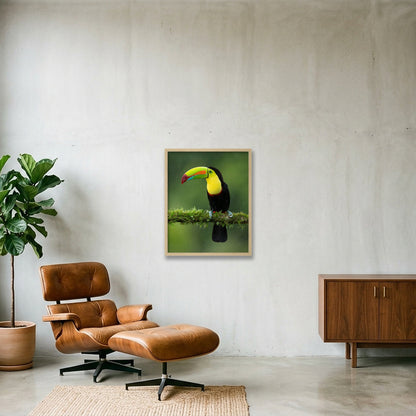 Toucan — 40×50cm, 16×20" Oak Frame
