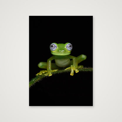 Ghost Glass Frog — A4 (21×30cm, 8×12") Print only