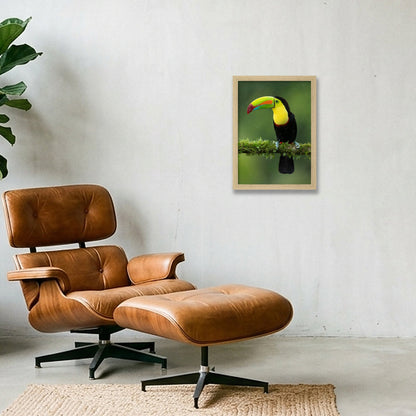 Toucan — A4 (21×30cm, 8×12") Oak Frame