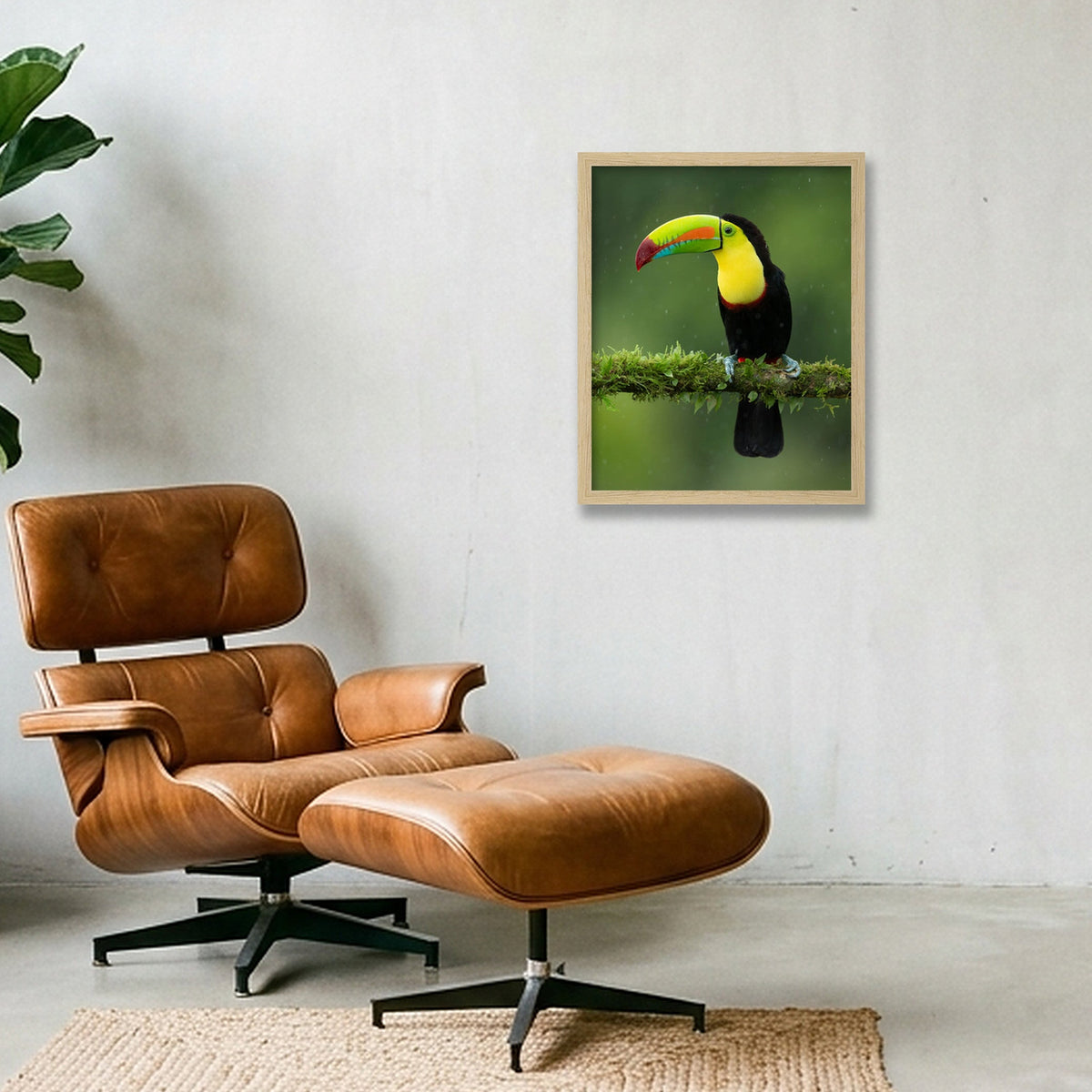 Toucan — 28×35cm, 11×14" Oak Frame